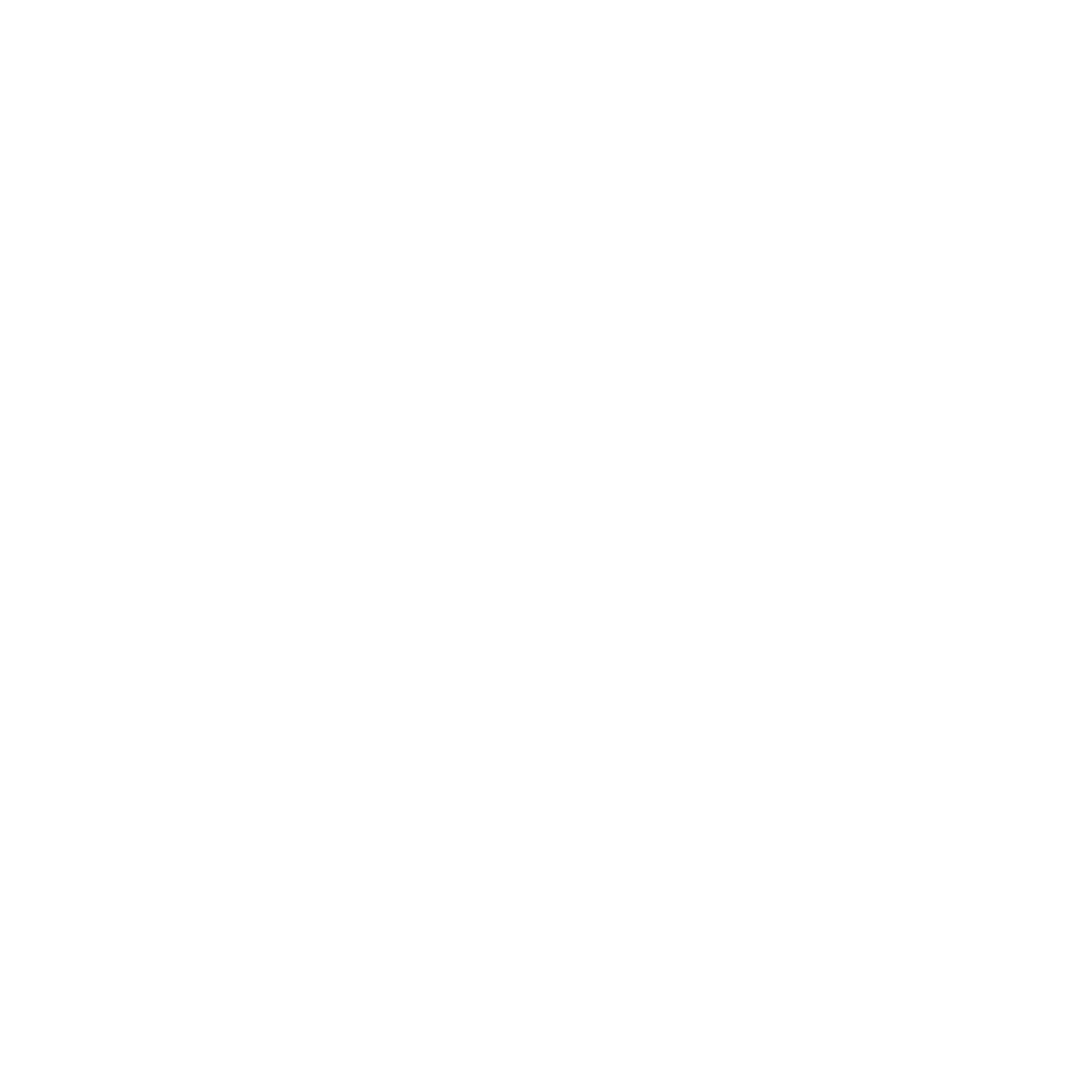 Logo StreetPress Blanc